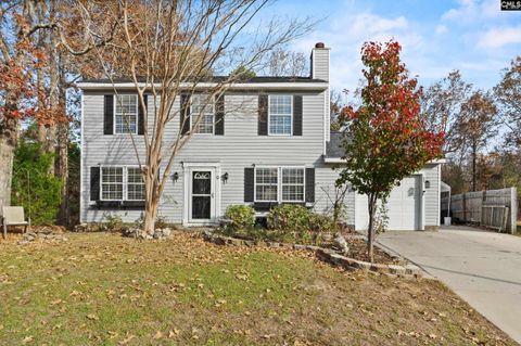 Photo of 9 Twill Court, Irmo, SC 29063 (MLS # 621273)