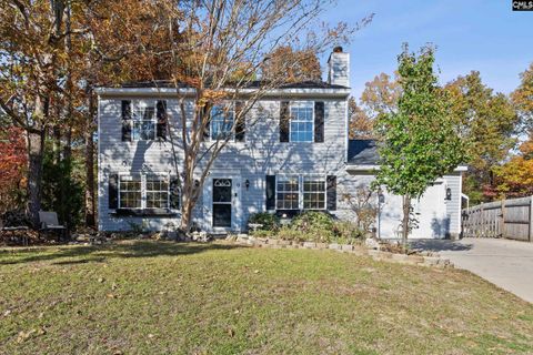 Photo of 9 Twill Court, Irmo, SC 29063 (MLS # 621273)