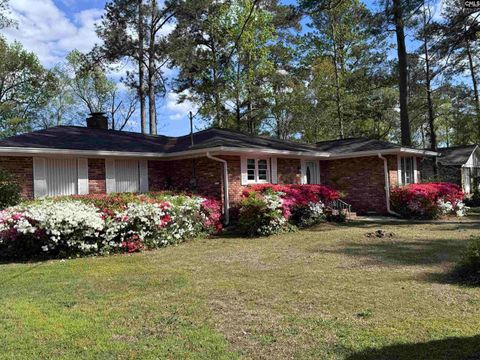 Photo of 7604 Edgewater Drive, Columbia, SC 29223 (MLS # 632936)