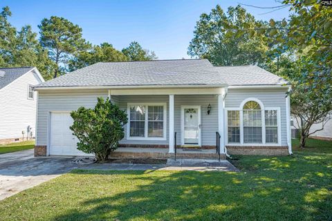 Photo of 916 Riverwalk Way, Irmo, SC 29063 (MLS # 620040)