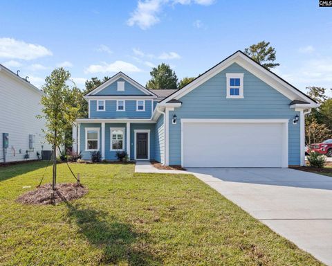 Photo of 110 Monroe Preserve Drive, Chapin, SC 29036 (MLS # 614025)