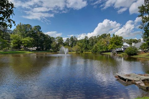 A home in Irmo