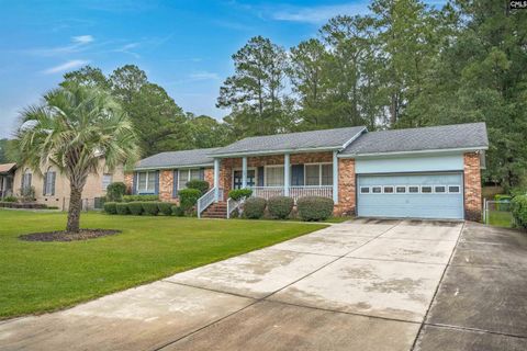 Photo of 523 Torwood Drive, Columbia, SC 29203 (MLS # 618819)