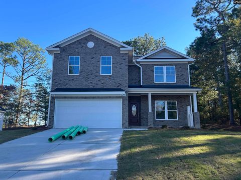 A home in West Columbia