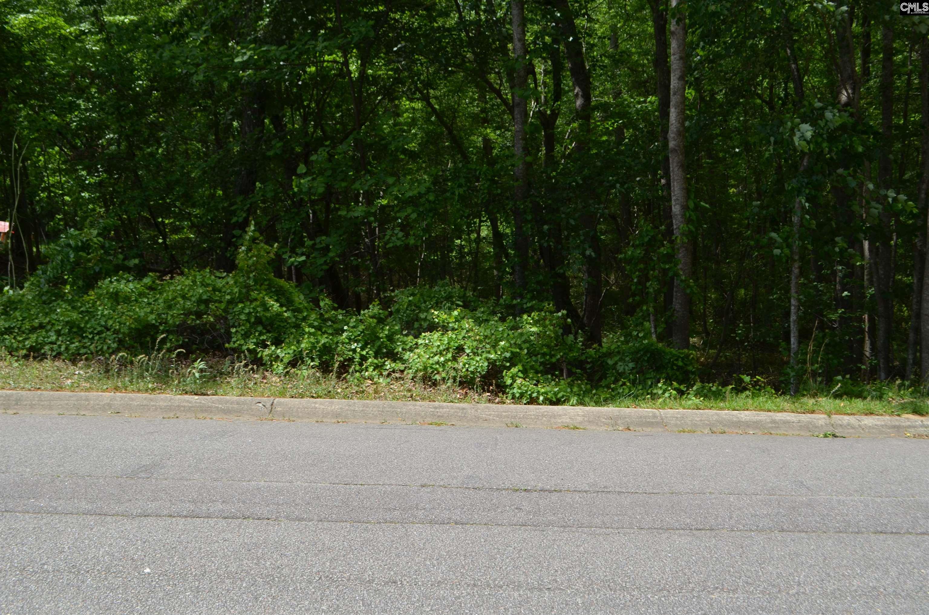 Photo 1 of 1 — Lakeridge Parkway, Columbia, SC 29204
