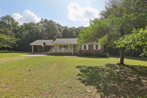 Photo of 1051 Main Street, Pelion, SC 29123 (MLS # 639273)