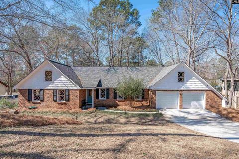 Photo of 443 Pittsdowne Road, Columbia, SC 29210 (MLS # 627639)