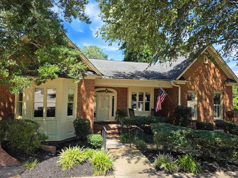 Photo of 201 Branch Hill Lane, Columbia, SC 29223 (MLS # 616666)