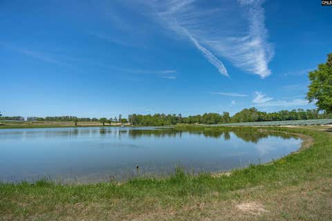 Photo of 225 Burma Road, Lexington, SC 29072 (MLS # 631821)