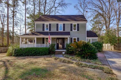 Photo of 105 Queen Anne Court, Columbia, SC 29210 (MLS # 626567)