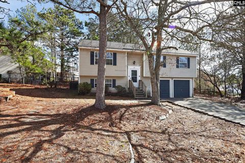 Photo of 215 Berry Ridge Circle, Columbia, SC 29229 (MLS # 627537)