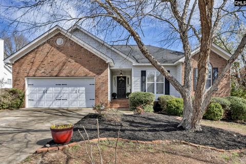 Photo of 263 Summerwalk Court, Lexington, SC 29170 (MLS # 629186)