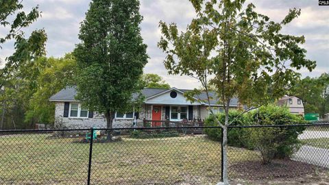 Photo of 3327 Emanuel Church Road, Lexington, SC 29073 (MLS # 630650)