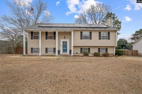 Photo of 277 Bridleridge Road, Lexington, SC 29073 (MLS # 625046)
