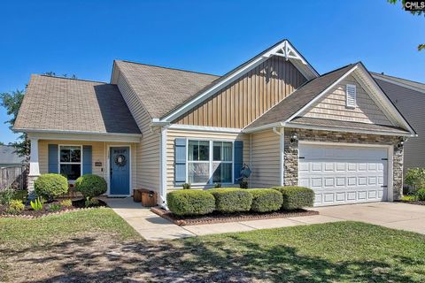 Property photo of 132 Castlefield Drive, Lexington, SC 29073