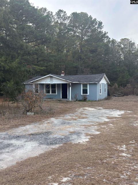 Photo of 420 Old Wire Road, West Columbia, SC 29172 (MLS # 623462)