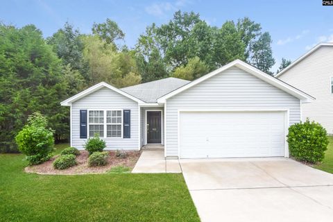Photo of 143 Vermillion Drive, Columbia, SC 29209 (MLS # 624573)