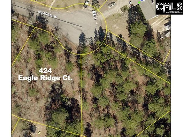 424 Eagle Ridge Court
