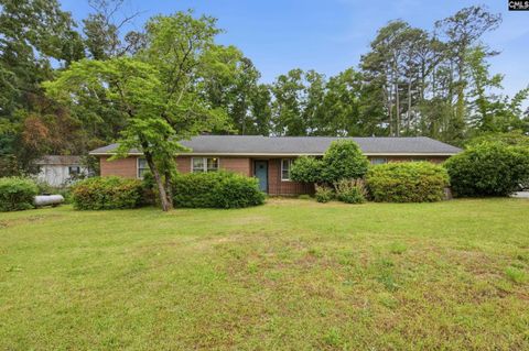 Photo of 2430 Mineral Springs Road, Lexington, SC 29072 (MLS # 633646)