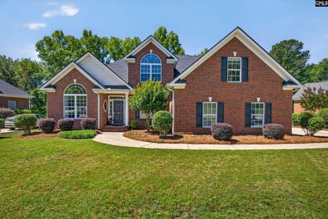 Photo of 401 Sienna Drive, Chapin, SC 29036 (MLS # 634358)