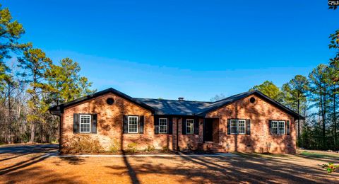 Photo of 169 Lake Tide Drive, Chapin, SC 29036 (MLS # 625671)