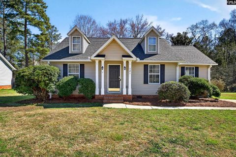 Photo of 121 Black Creek Lane, Irmo, SC 29063 (MLS # 628748)