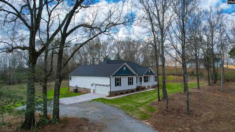 Photo of 769 Seagull Lane, Prosperity, SC 29127 (MLS # 626232)