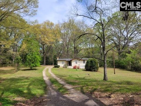 Photo of 218 Williams Street, Batesburg, SC 29006 (MLS # 633158)