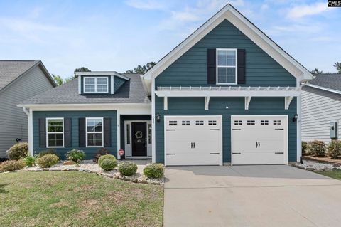 432 Sapphire Lane Chapin Sc 29036