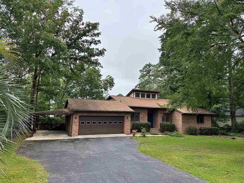 Photo of 447 Edgewater Road, Prosperity, SC 29127 (MLS # 612853)