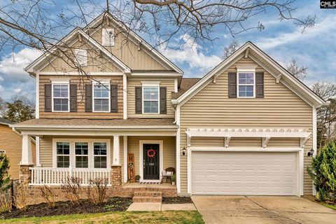260 Eagle Pointe Drive Chapin Sc 29036