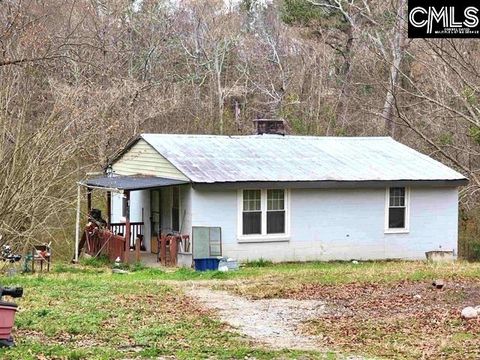 Photo of 118 Jasper Lykes Road, Irmo, SC 29063 (MLS # 623991)