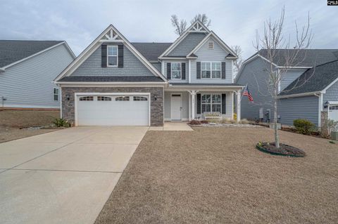 Photo of 248 Laurelbrook Drive, Chapin, SC 29036 (MLS # 628286)