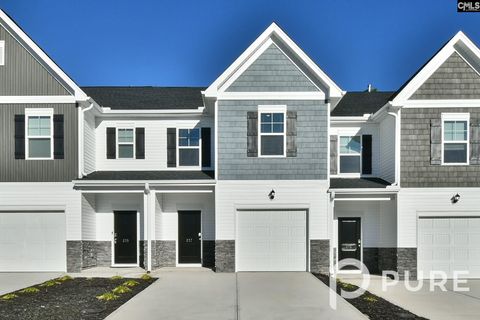 Photo of 217 Sunny Hill Drive, Blythewood, SC 29016 (MLS # 630110)