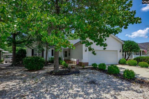Property photo of 144 Maguire Drive, Lexington, SC 29073