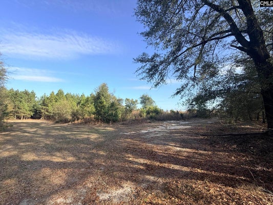 FESTIVAL TRAIL RD, SALLEY, SC 29137 - Image 94bbcc7cbf50e31843efdcf68a2bb044/3855142459
