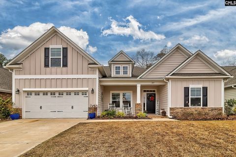 Photo of 249 Daymark Drive, Chapin, SC 29036 (MLS # 622786)
