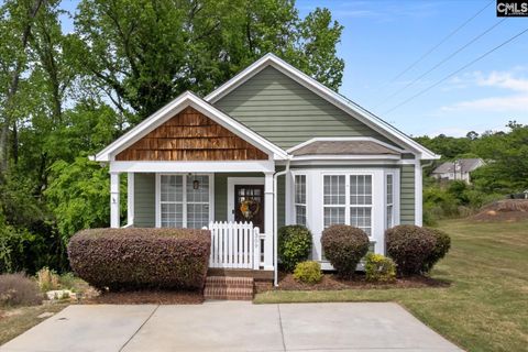 Photo of 309 Canal Place Drive, Columbia, SC 29201 (MLS # 631549)