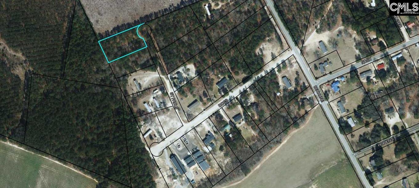 Lot 25 St Paul's Lane Unit 25, Bishopville, SC, 29010