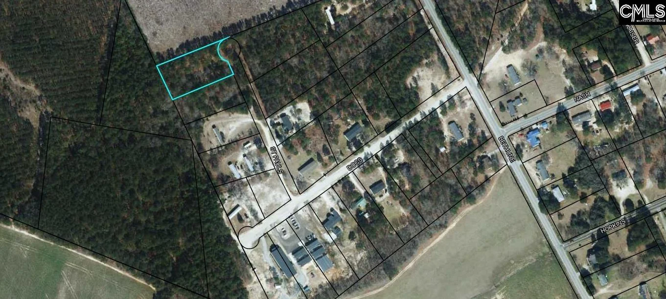 Lot 25 St Paul's Lane Unit 25, Bishopville, SC, 29010