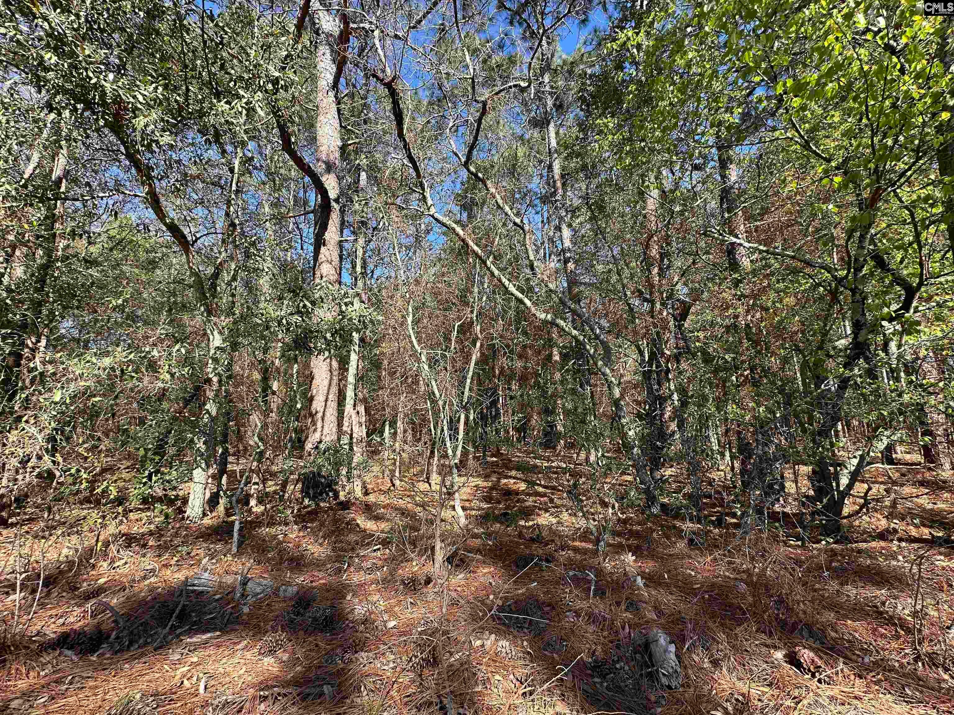 Lot 2 Mimosa Drive