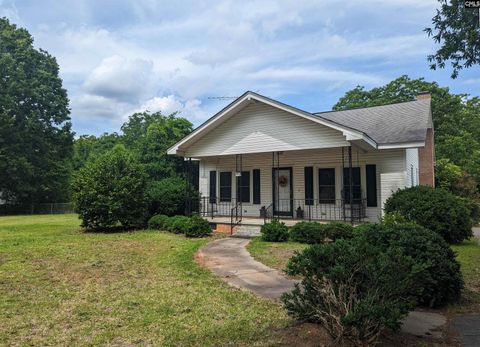 Photo of 532 Pomaria Street, Little Mountain, SC 29075 (MLS # 594738)