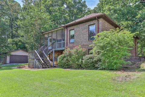 A home in Chapin