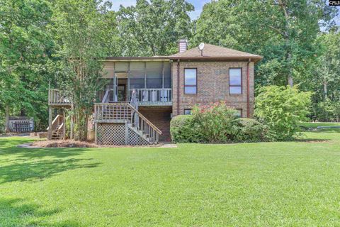 A home in Chapin