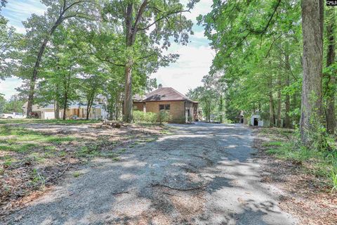 A home in Chapin