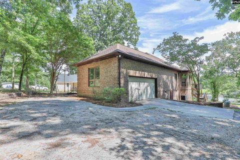 A home in Chapin