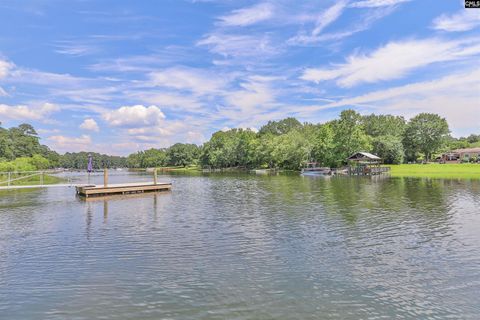 A home in Chapin