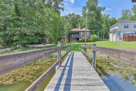 A home in Chapin