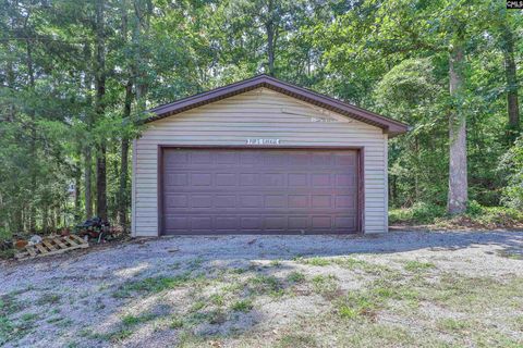 A home in Chapin