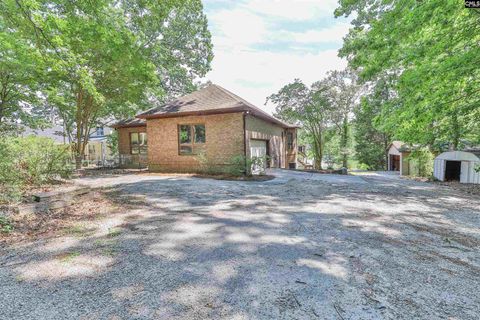 A home in Chapin